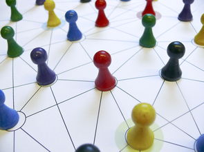 米兰体育官方网站-中国篮球教练员专业能力提升路径，篮球教练员的专业技能包括哪些方面